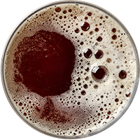 https://oppio.store/wp-content/uploads/2017/05/beer_transparent_02.png